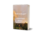 An English Suspense Story - "Would you fly again?"